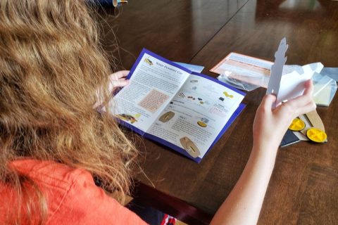 Little Passports Science Expeditions review of solar car solar energy kit subscription for kids